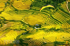 Contemplan la belleza de Mu Cang Chai en helicóptero