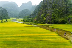 Pospone provincia vietnamita de Ninh Binh inauguración del Año Nacional de Turismo 2020