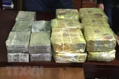 Policía de provincia vietnamita de Nghe An confisca gran cantidad de drogas 