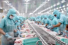 Producción y exportaciones vietnamitas de pescado Tra enfrentan desafíos