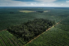 Construirá Tailandia planta desaladora para servir a la producción industrial