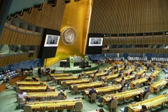 Vietnam propone iniciativas para conservación de biodiversidad en Cumbre temática de ONU