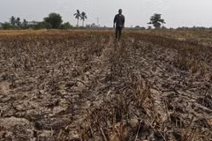 Tailandia enfrenta riesgo de severa escasez de agua, advierten expertos