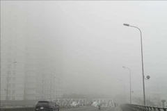 Expertos señalan vínculos de contaminación del aire y el COVID-19