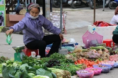 Provincia vietnamita de Vinh Phuc ofrece asistencia a pobladores afectados por el COVID-19