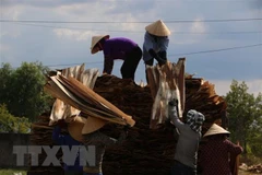 Incrementan exportaciones de productos forestales de Vietnam