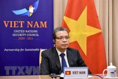 Vietnam se compromete a contribuir al mantenimiento de paz en Golfo Pérsico