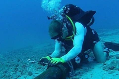 Rotura de cable submarino afecta Internet en Vietnam