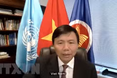 Vietnam pide pleno cumplimiento de alto el fuego global convocado por la ONU