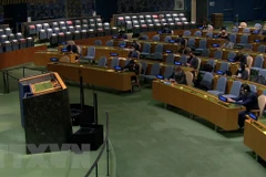 Asamblea General de la ONU resalta valores de la UNCLOS