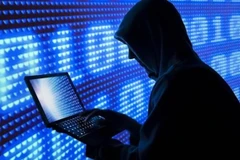 Sufren 290 sitios web en Vietnam ataques cibernéticos en febrero