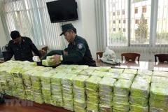 Países sudesteasiáticos promueven cooperación en lucha contra las drogas