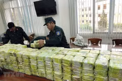 Países sudesteasiáticos promueven cooperación en lucha contra las drogas