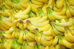 Productores filipinos de plátano enfrentan dificultades debido a COVID-19
