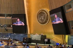 Explica embajador apoyo de comunidad internacional a resolución propuesta por Vietnam a ONU