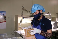 Apoyan a pequeñas y medianas empresas de Ciudad Ho Chi Minh en reanudación de actividades