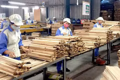 Aumenta el valor de las exportaciones madereras de Vietnam
