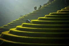 Mu Cang Chai elegido en el top 50 destinos más bellos del mundo en 2020