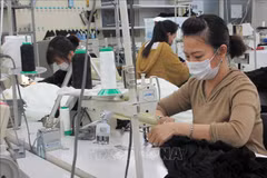 Trabajadores vietnamitas en Japón reciben protección ante epidemia de COVID-19
