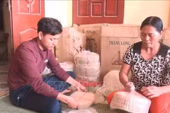 Provincia vietnamita de Thanh Hoa por preservar oficios tradicionales