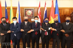 Embajadores de la ASEAN en Sudáfrica alaban preparativos de Vietnam para XXXVII Cumbre de la agrupación