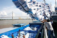 Aumentan las exportaciones de arroz de Vietnam casi un 11 por ciento