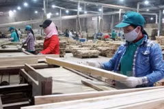 Tratado de Libre Comercio con la UE beneficiará a industria maderera de Vietnam