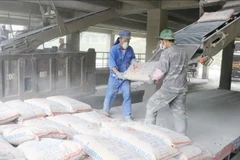 Debaten en Vietnam estrategia de desarrollo para sector de materiales de construcción 