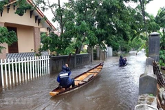 Unión Europea respalda a Vietnam en mejorar resistencia al cambio climático