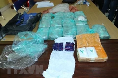 Condenan en Hanoi a un extranjero por tráfico de drogas