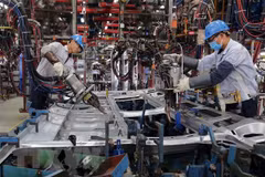 Empresas alemanas confían en recuperación económica de Vietnam 