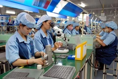 Sector privado- punto brillante de la economía de Vietnam