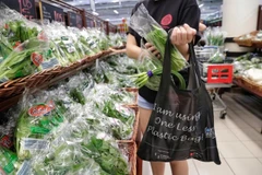 Bolsas de tela para la protección del medio ambiente