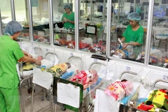 Vietnam enfrentará el envejecimiento poblacional para 2026