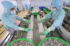 Aspira Vietnam a ingresar 41,5 mil millones de dólares por exportaciones agrícolas en 2020 