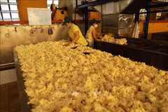 Procesamiento de caucho en una fábrica de la empresa Phu Rieng. (Foto: VNA)