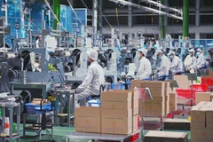Todo el país cuenta con 431 parques industriales y zonas francas industriales establecidas con una superficie total de unas 132,3 mil hectáreas, creando un fondo de suelo industrial de unas 89,9 mil hectáreas. (Foto: Vietnam+)