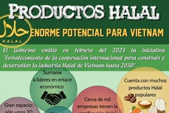 Industria Halal, enorme potencial para Vietnam