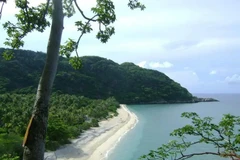 Hallan nuevas especies encontradas en islas vietnamitas