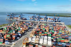 Economía de Vietnam consolida posición como punto brillante en ASEAN