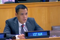 El embajador Dang Hoang Giang, jefe de la misión representante permanente de Vietnam ante las Naciones Unidas (Fuente: VNA)