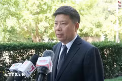 El profesor Xu Liping, director del Centro de Estudios del Sudeste Asiático de la Academia China de Ciencias Sociales (Fuente: VNA)