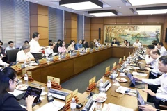Delegación de los diputados a la Asamblea Nacional de Hanoi discute en grupo. (Fuente: VNA)