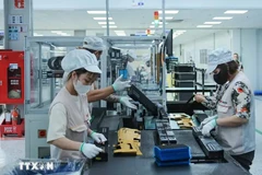 La economía de Vietnam crece casi 7% en el contexto del actual entorno económico mundial desfavorable (Fuente: VNA)