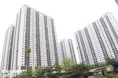 Se espera que el mercado inmobiliario prospere cuando la Ley de Tierras de 2024 entre en vigor. (Foto: Vietnam+)