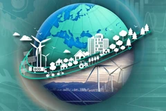 Vietnam necesita una estrategia integral de transición verde a nivel nacional