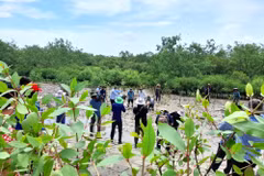 Buscan equilibrio entre desarrollo económico y conservación de la naturaleza y la biodiversidad. (Foto: Vietnam+)