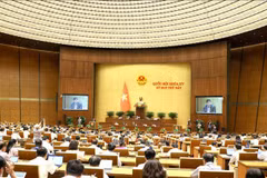 Durante una reunión del séptimo período de sesiones de la Asamblea Nacional de la XV Legislatura (Fuente: VNA)