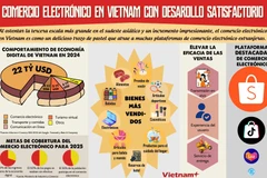 Comercio electrónico en Vietnam con desarollo satisfactorio