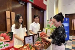 Muchas personas adornan el lichi de huevo de Hung Yen (Fuente: Vietnam+)